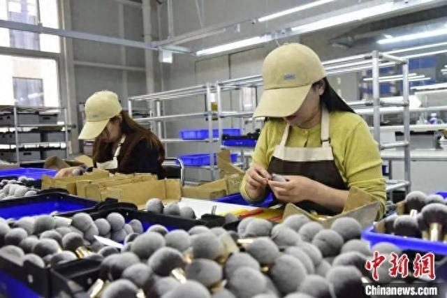 真有“两把刷子”！不朽情缘MG沧州