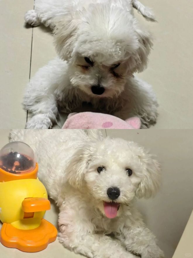 镜护理液”还有妙用！真是让人大开眼界不朽情缘电子游戏没想到过期的“隐形眼(图13)